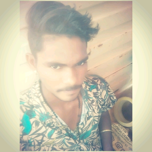 50204519 2248