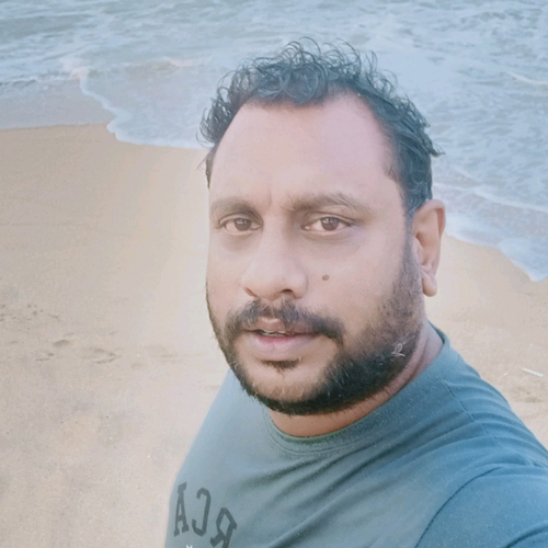 51485411 4153