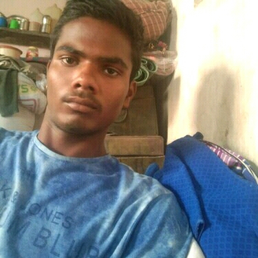 55335585 499