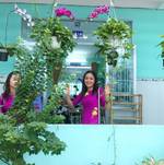 Nguyen Phuong's photo