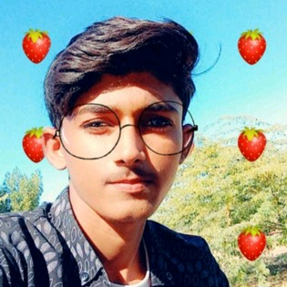 50753172 3151