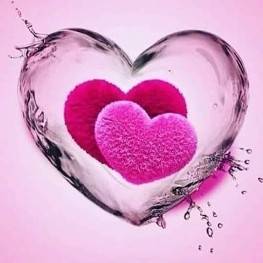 85480698 4564 medium large
