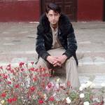 Muhammad Mansoor's photo