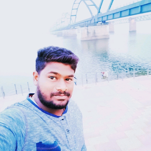 51554555 1536