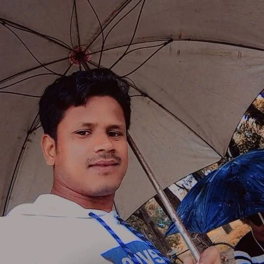 86313100 1796 medium large