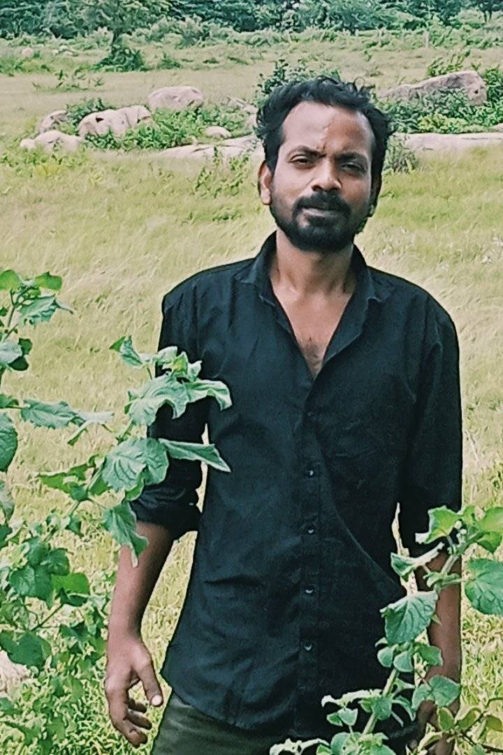 87989614 3164 medium large