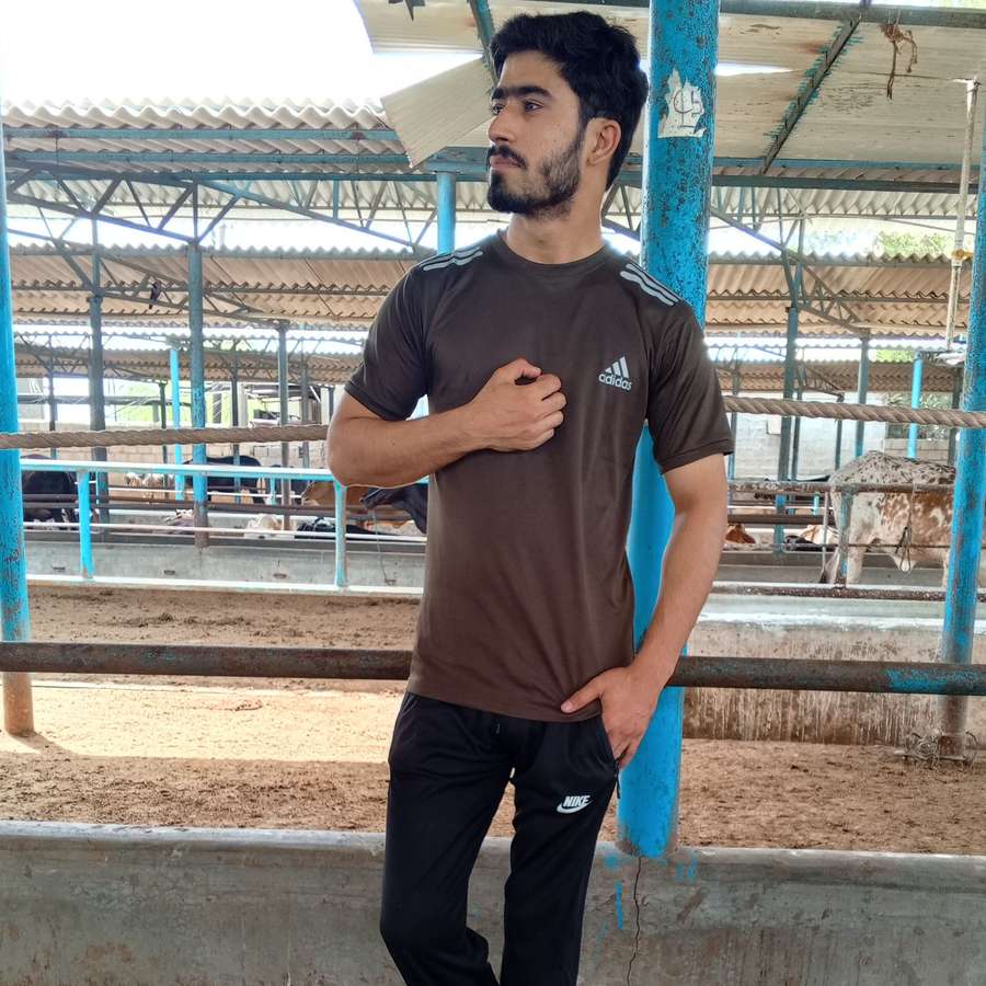 87503673 2864 medium large