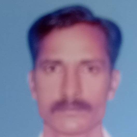 79391694 1768 medium large