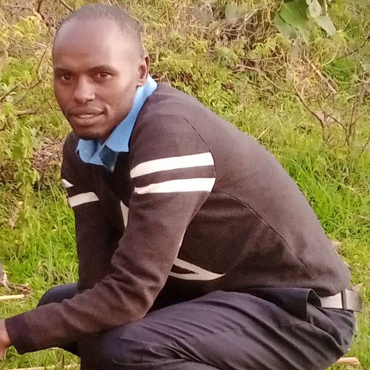 84384631 2576 medium large