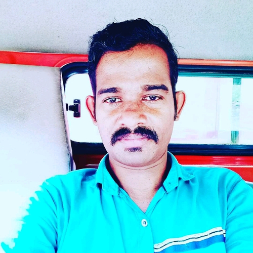 51256976 4334