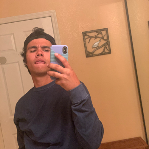 43823902 2848