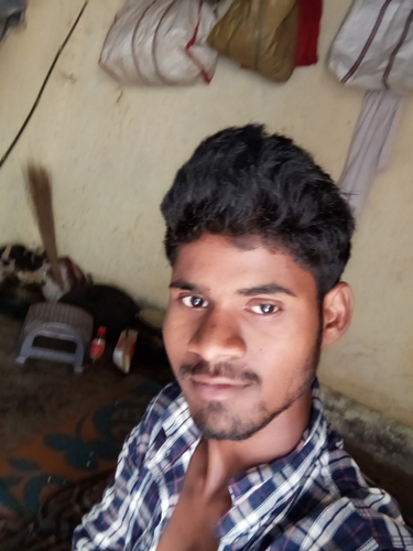 43565086 8448