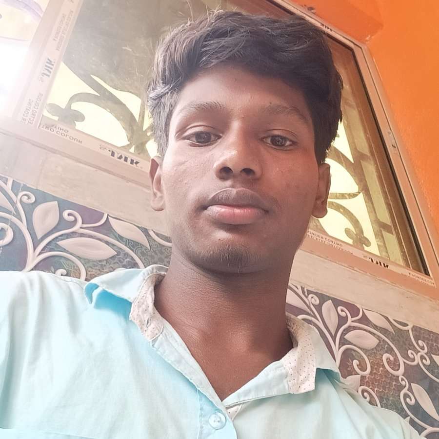 81494306 7142 medium large