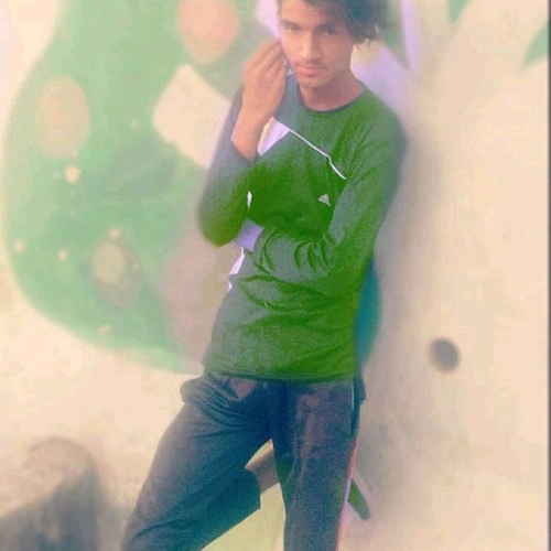 55378482 7040