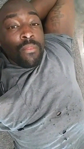 54498991 1817