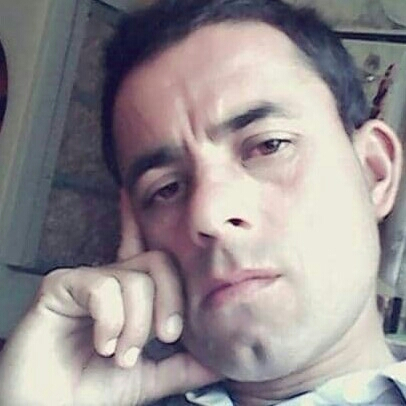 46969231 3534