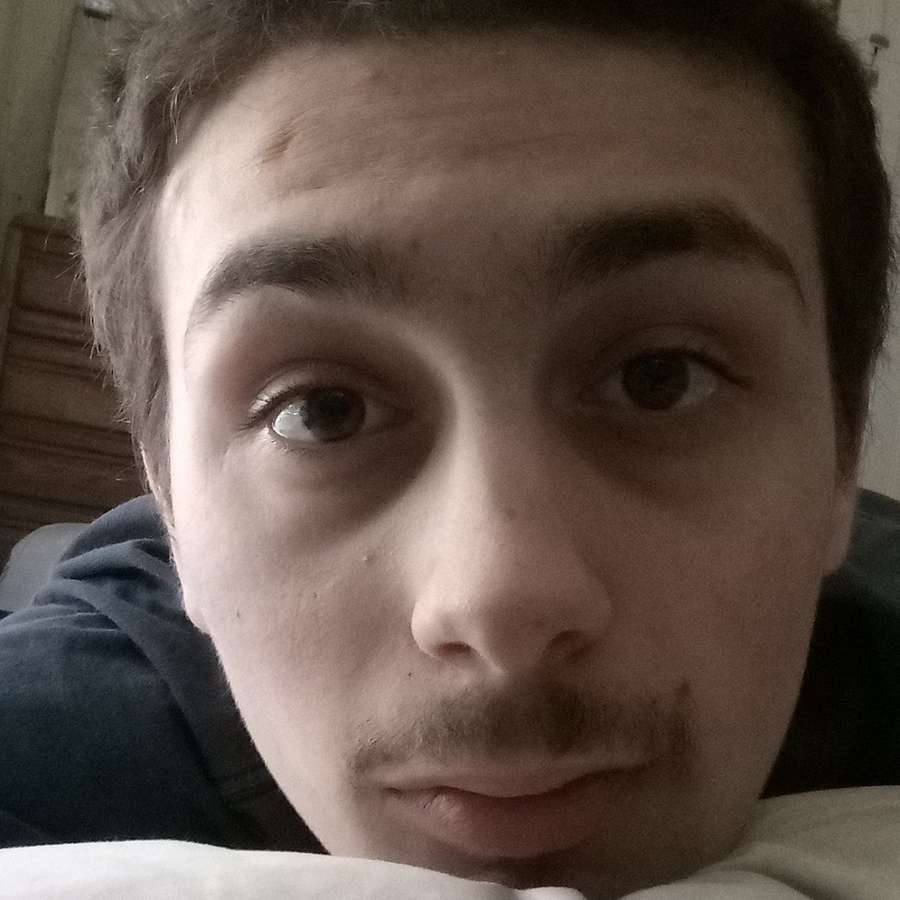 87769026 586 medium large