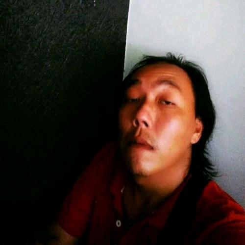 64658991 4534
