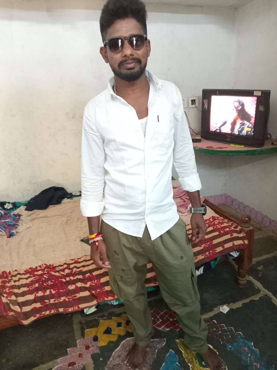 88216304 508 medium large