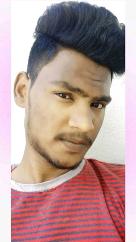 55355276 4067