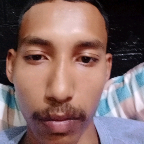72431060 6184