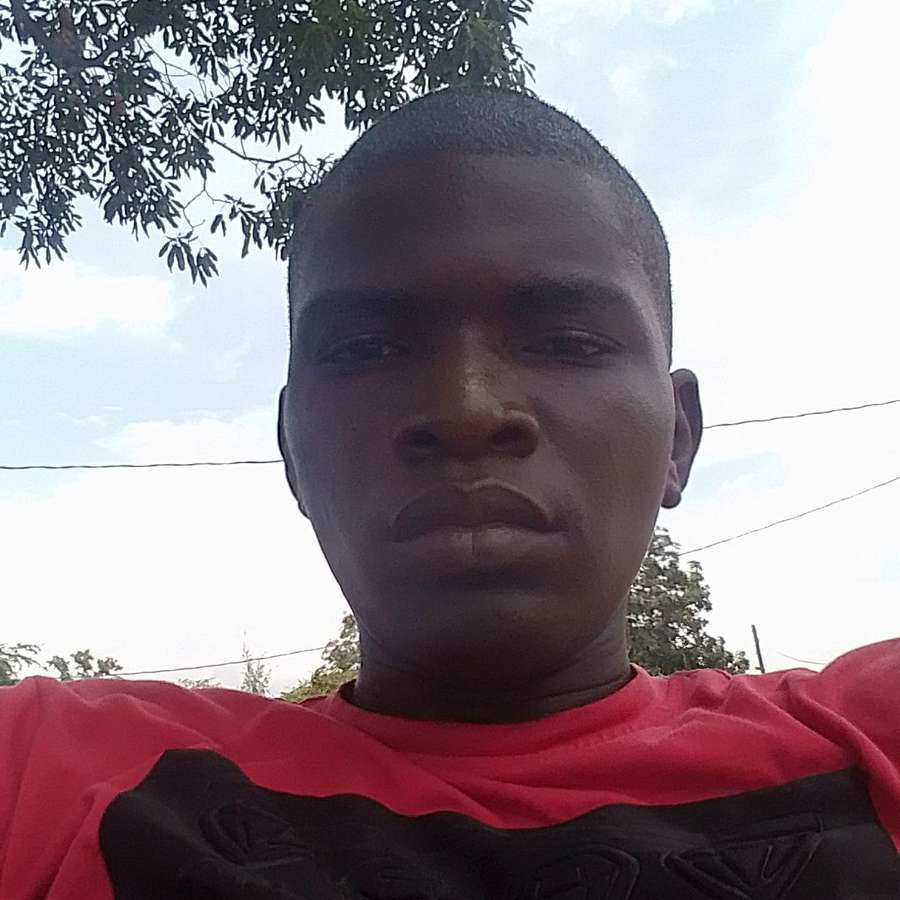 81863712 1170 medium large