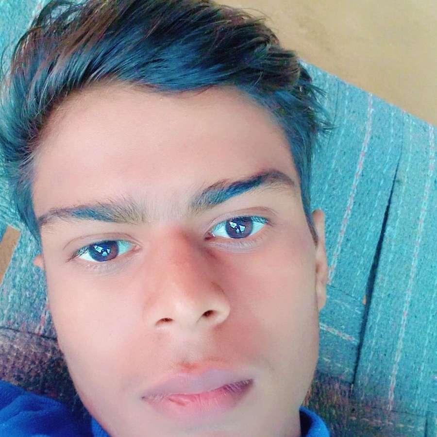 86452372 4773 medium large