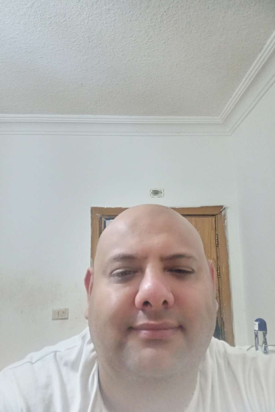 88072304 2103 medium large