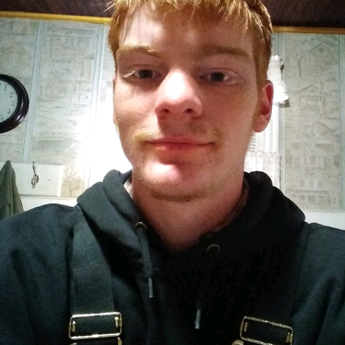 51901365 6562