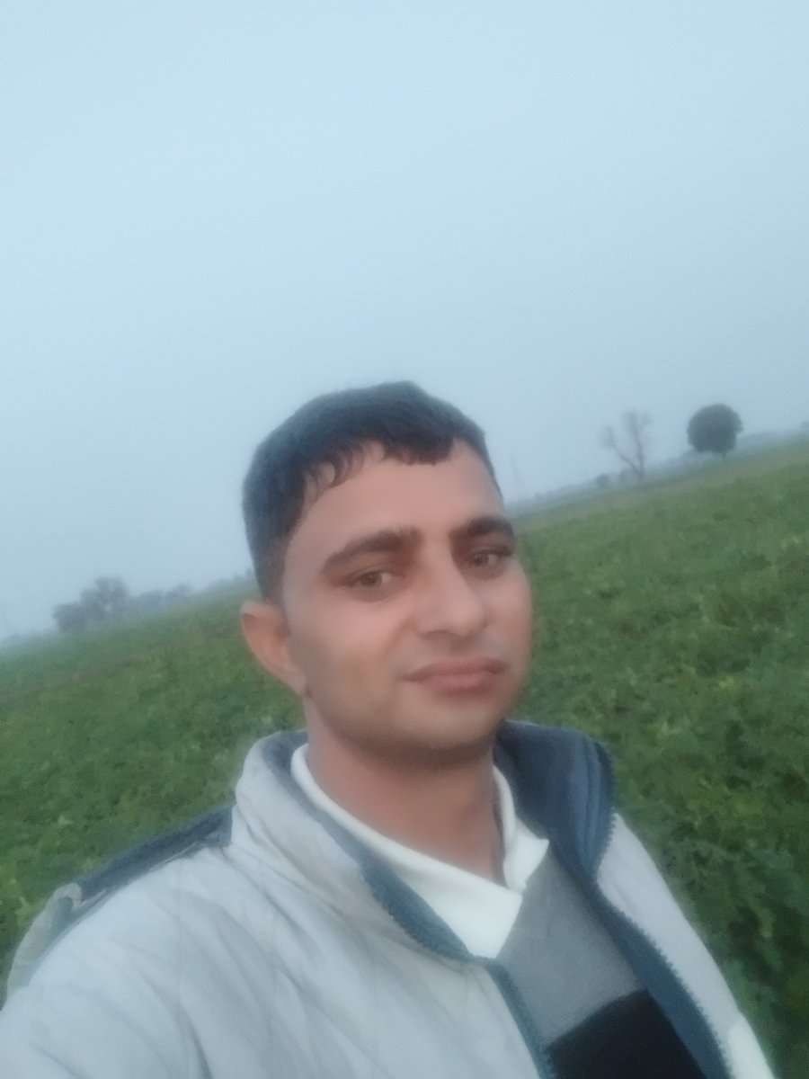 78777943 3785 medium large