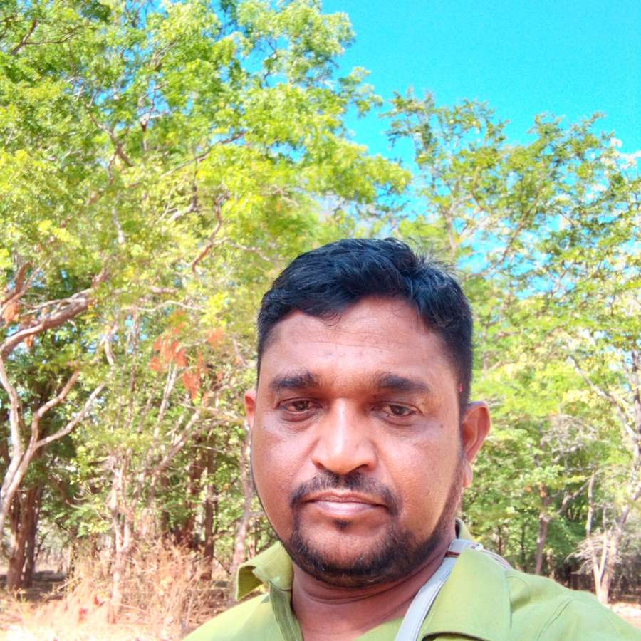 84132781 1921 medium large