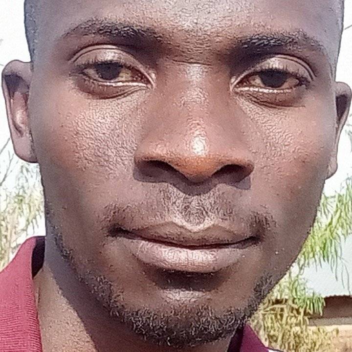 85020185 3186 medium large
