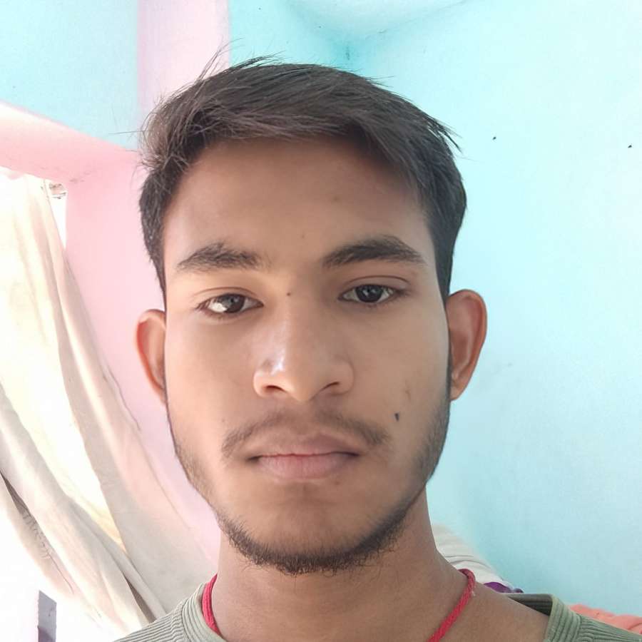 86041314 1215 medium large