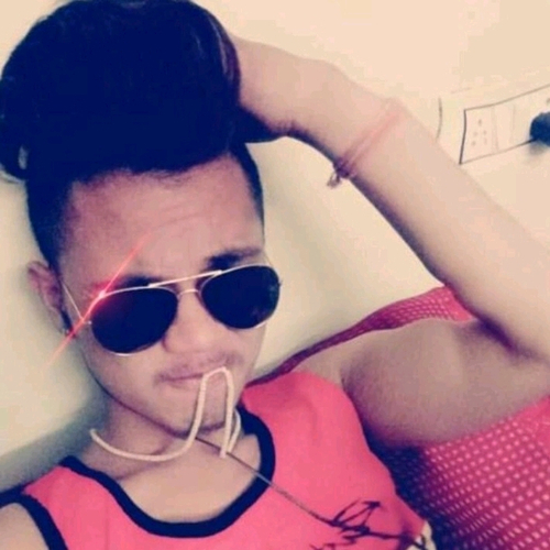 53126176 7433