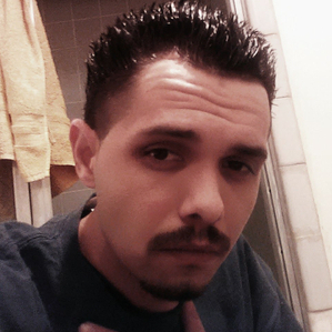 31278764 7393