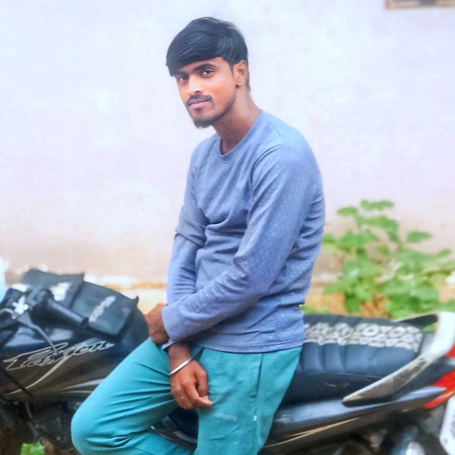 88277406 8313 medium large