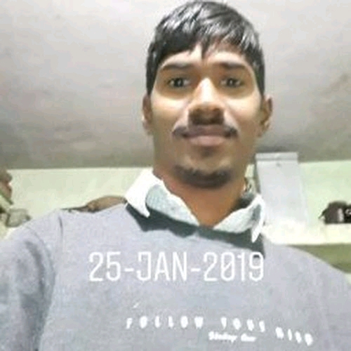 51574113 393