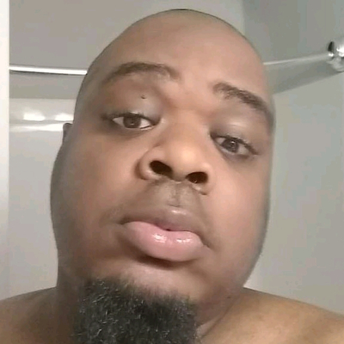 51682318 2381