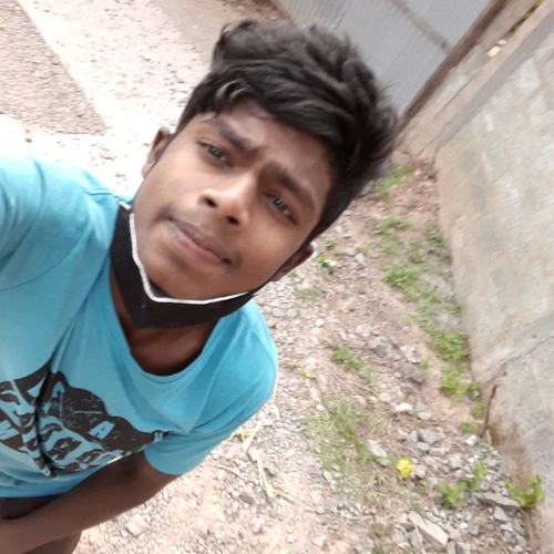 56168637 2243