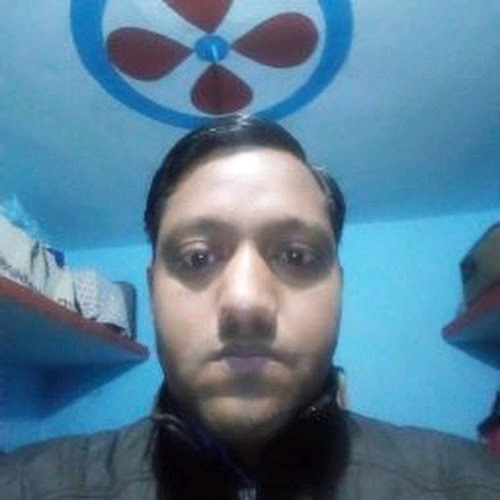 54010279 6149