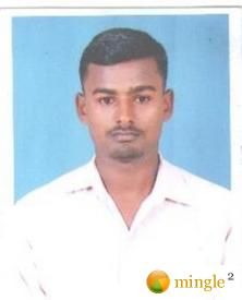 6050332 3217