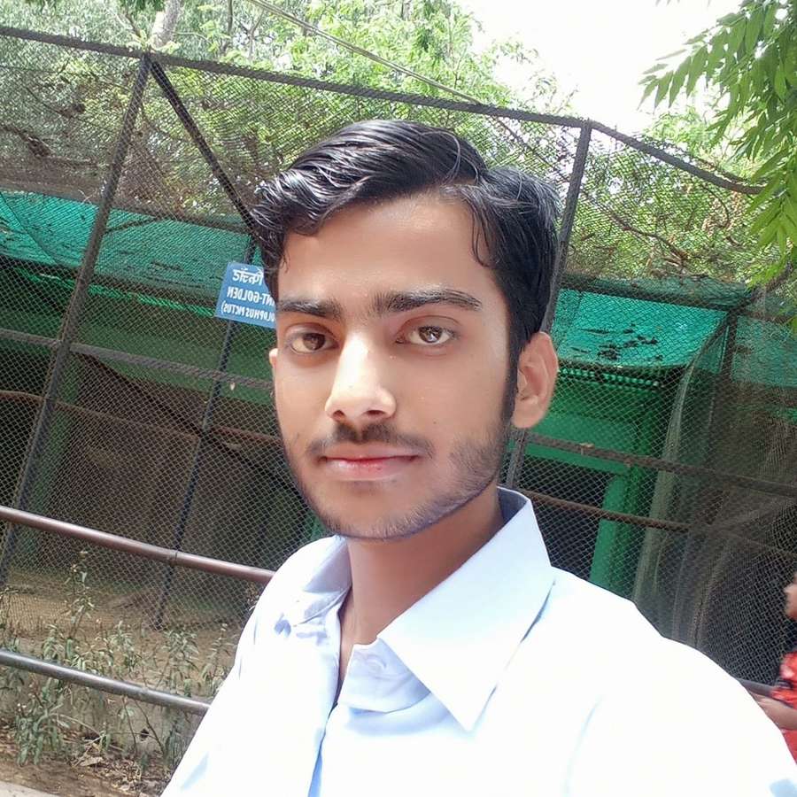 88090272 8294 medium large