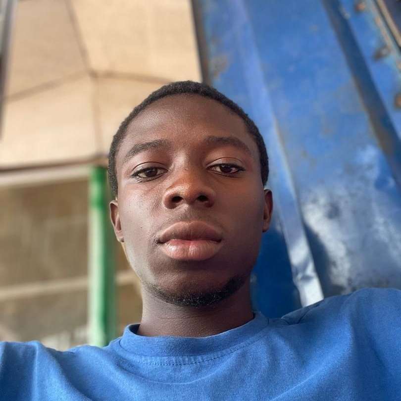 83481431 161 medium large