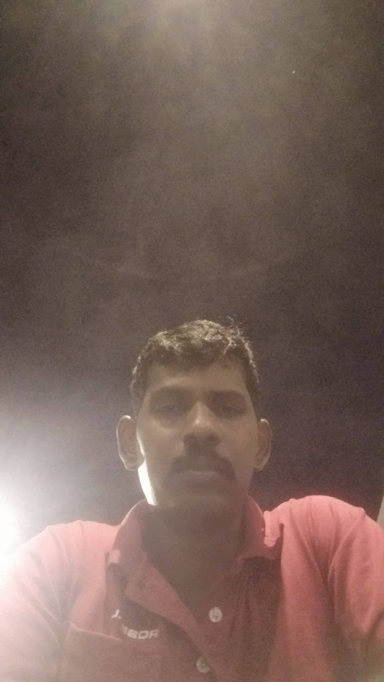 77517506 2393 medium large