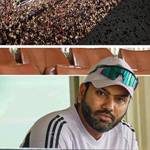 Mahendra Kumar Sharma 's photo