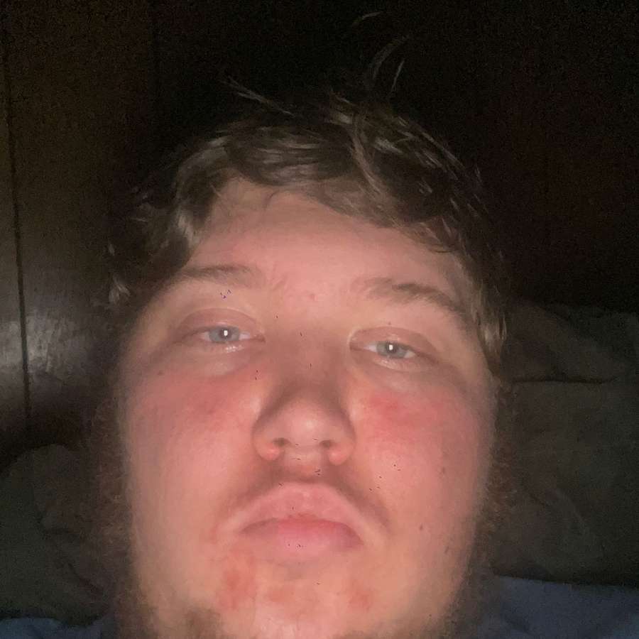 83399312 468 medium large
