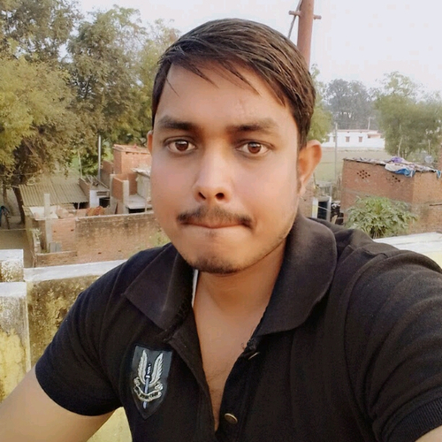 56249558 4863