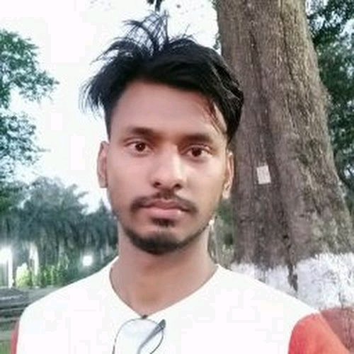 54944130 3178