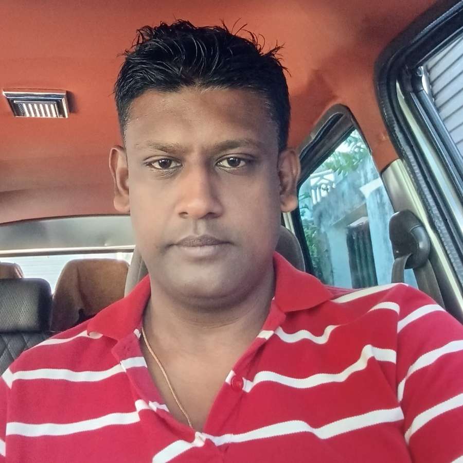 88096755 2444 medium large