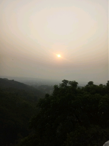 60113633 7417